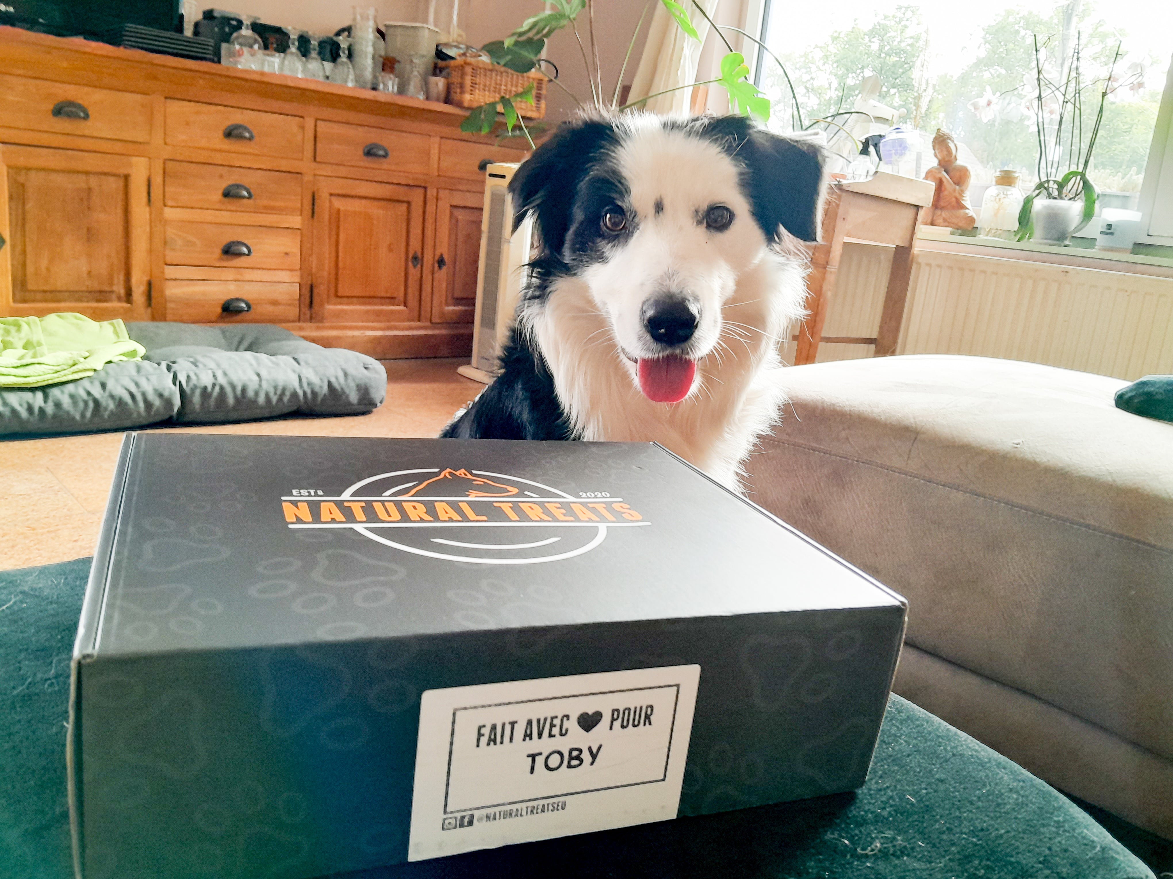 Did You Know You Can Customise Your Natural Treats Dog Subscription Box?