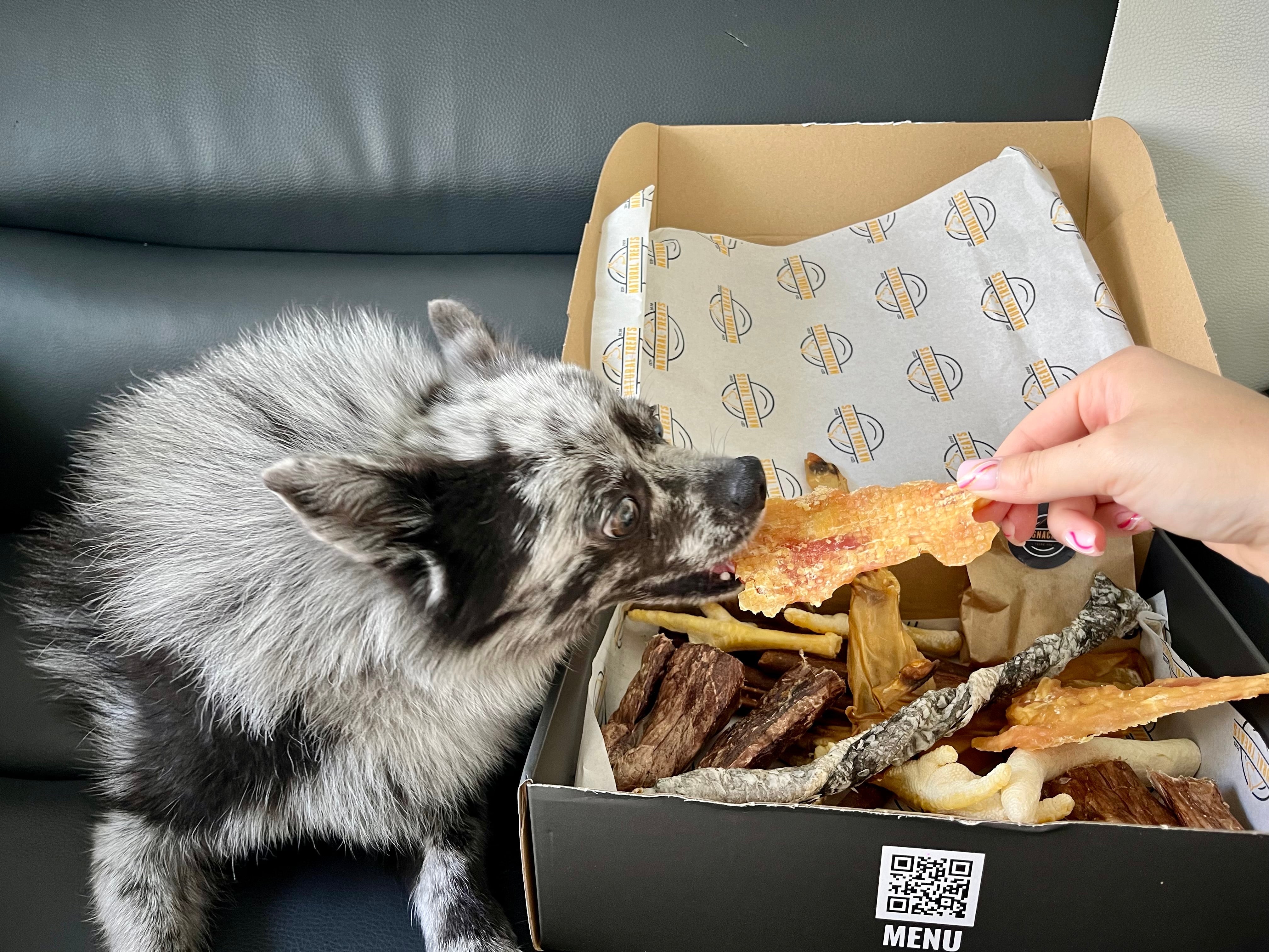 Best natural dog treats for puppies