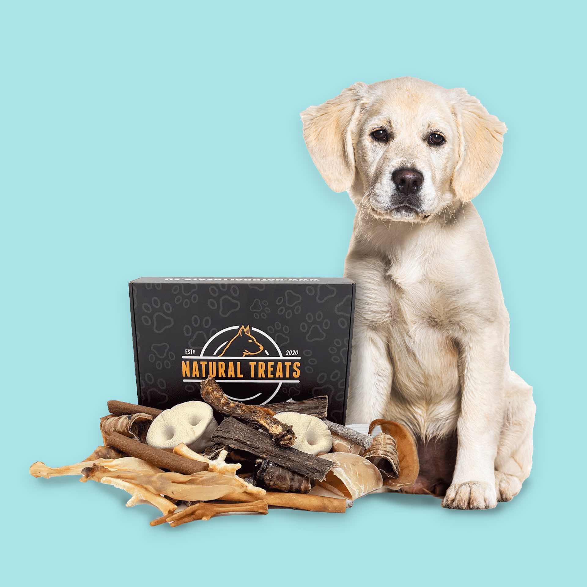 Original natural dog treats box
