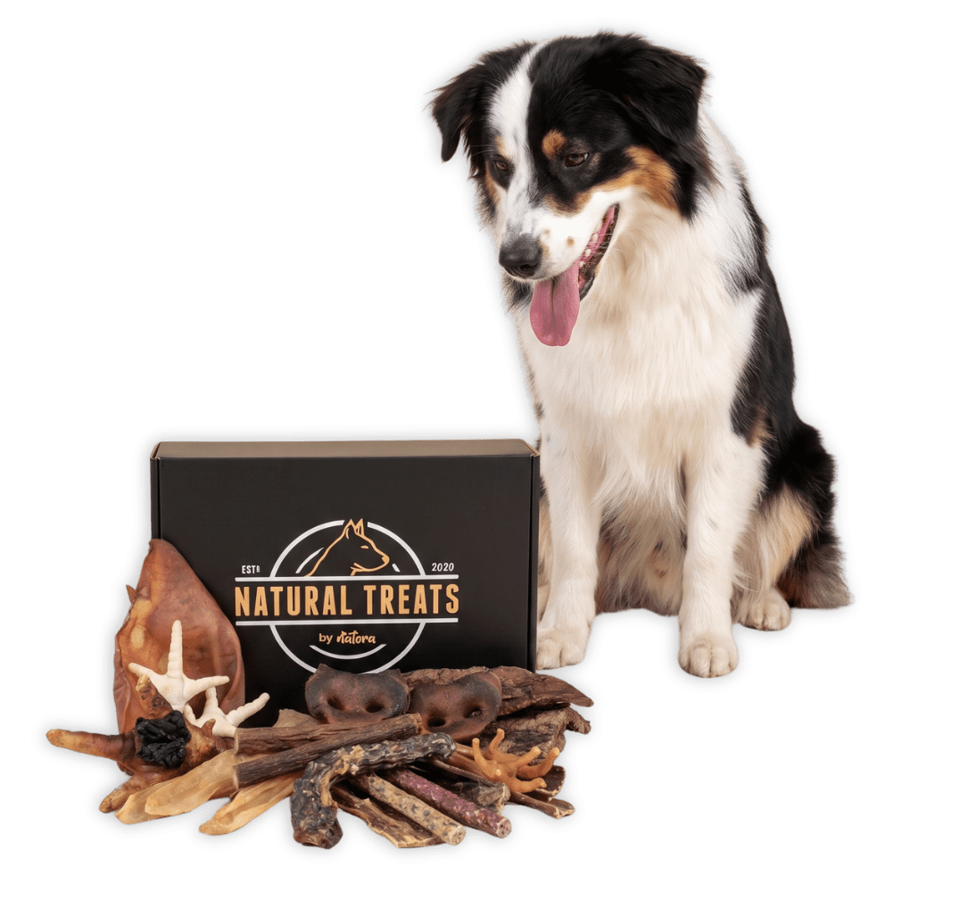 Natural Treats by Natora