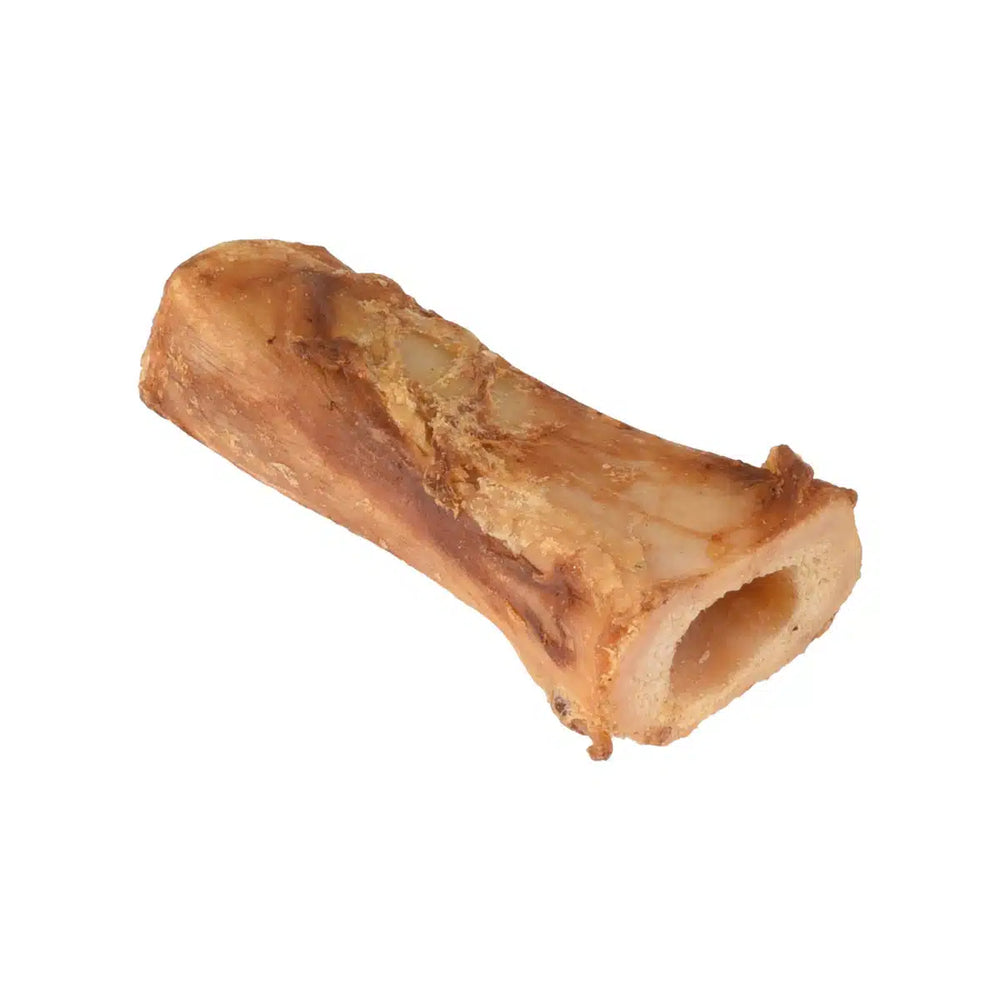 Natora