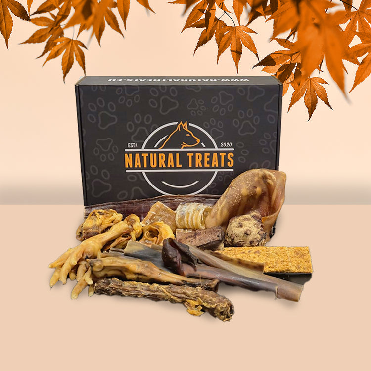 Box of 'Natural Treats' with various dog treats on a beige background with autumn leaves.