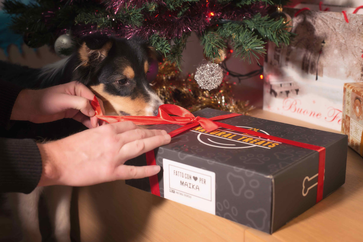 2025 Christmas Photo & Video Competition — Meet Our Winners!