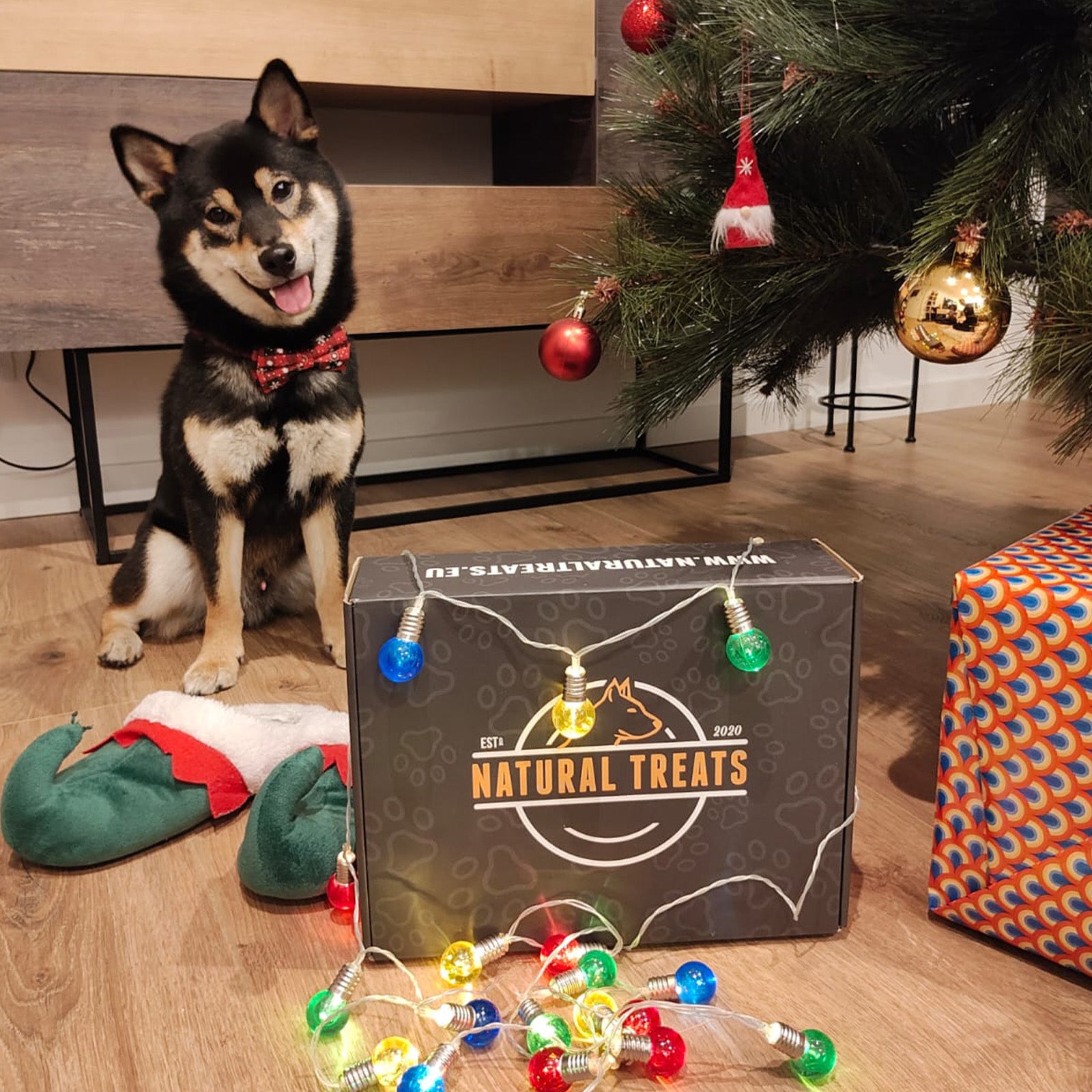 Scatola di Natale 50 snack