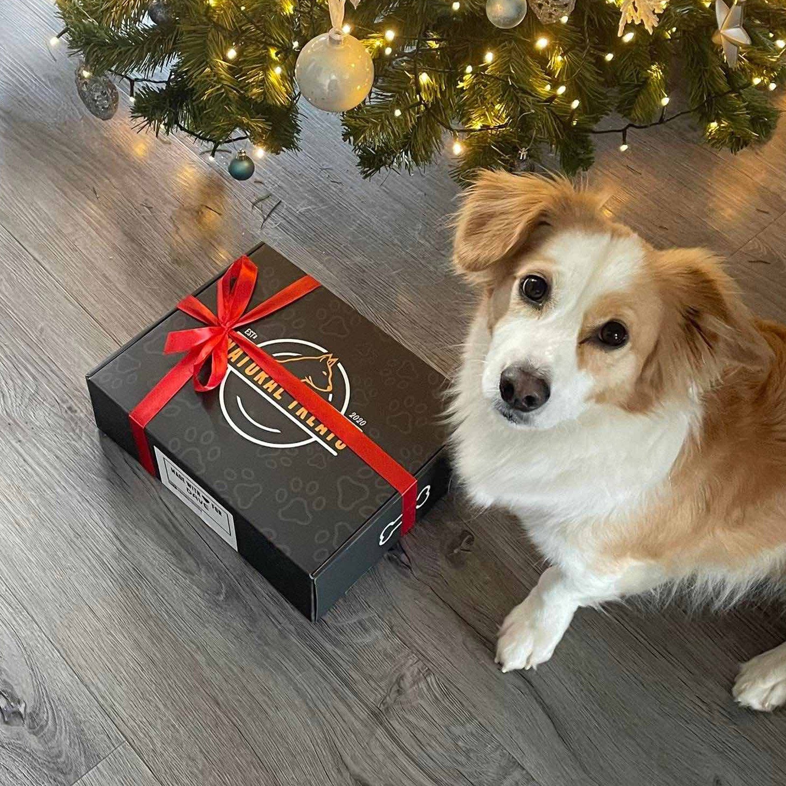 Scatola di Natale 50 snack