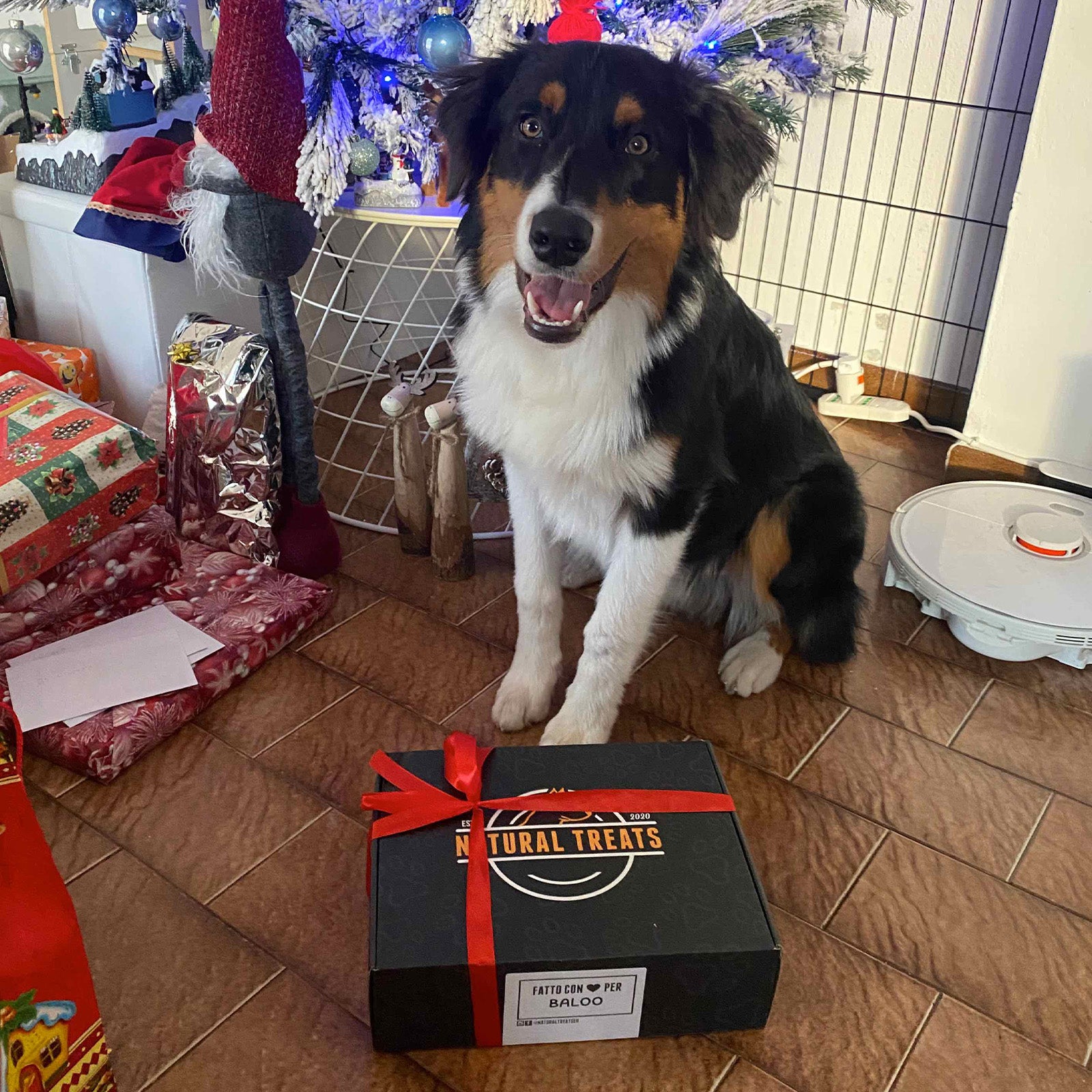 Scatola di Natale 50 snack