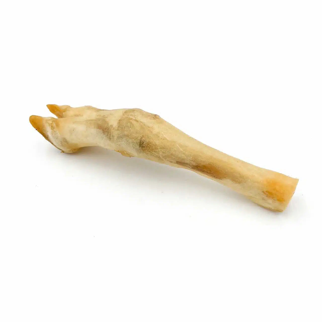 XL Lamb Leg