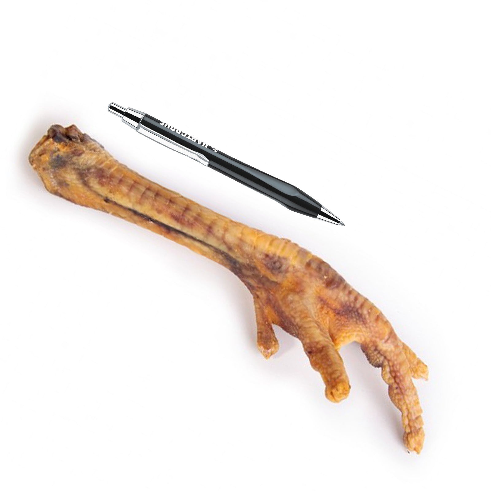 Milžiniška kalakuto koja